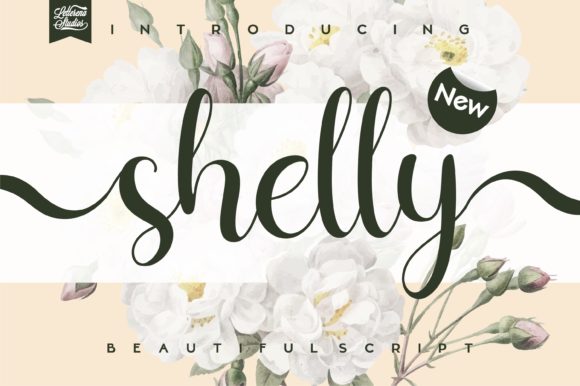 Shelly: A Modern Calligraphic Font for Elegant Design